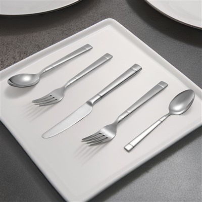 20-Ensemble de couverts en acier inoxydable pour 4 personnes